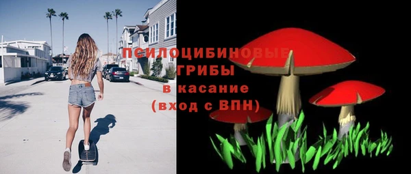 mdpv Мегион