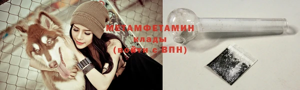 трава Медвежьегорск