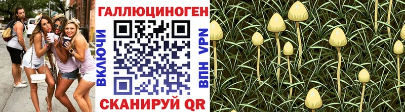 Галлюциногенные грибы Magic Shrooms  купить  цена  Орёл 